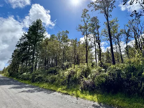 11-2301 Kokokahi Rd, Volcano, HI 96785