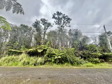 Road 11, Volcano, HI 96785