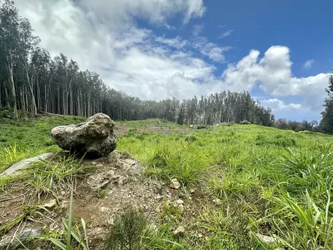 Cane Haul Rd, Honokaa, HI 96727