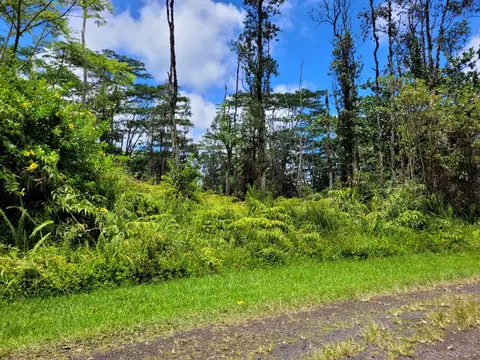 14-3381 Mayzee Rd, Pahoa, HI 96778
