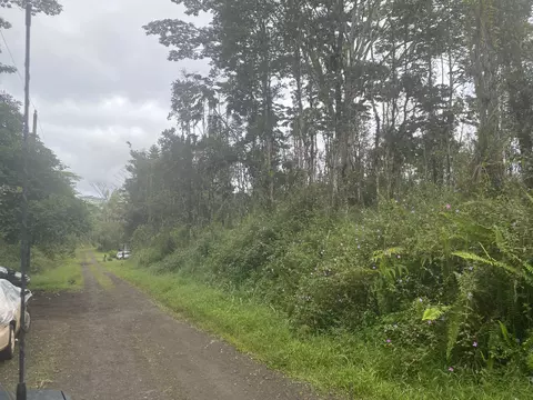 Ginger Rd, Pahoa, HI 96778