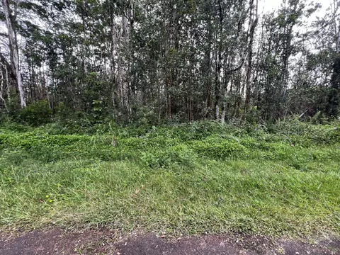 14-3565 Kona Rd, Pahoa, HI 96778