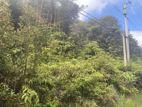 Kauai St, Mountain View, HI 96771