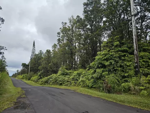 Anthurium St, Mountain View, HI 96771