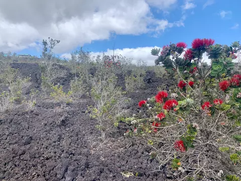 Lehua Ln, Ocean View, HI 96737