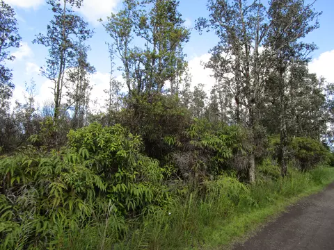 Road 2, Mountain View, HI 96760