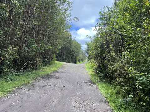Road 4, Mountain View, HI 96760