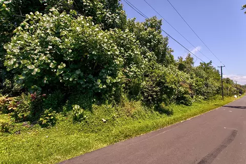 Opae St, Pahoa, HI 96778