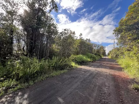 Road 1, Mountain View, HI 96760