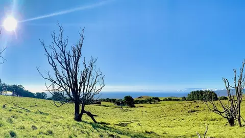 N Alulike Rd, Kamuela, HI 96743