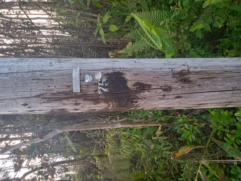 Makoa Rd, Volcano, HI 96785