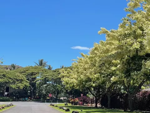 Makalea St, Koloa, HI 96756