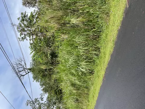 13-3563 Alapai St, Pahoa, HI 96778