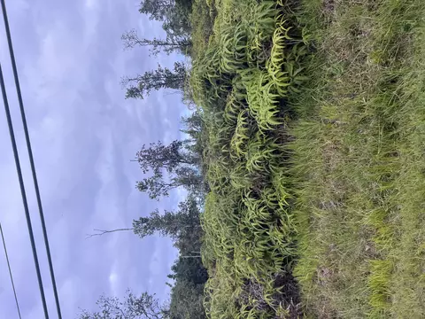 Kaloli Dr, Keaau, HI 96749