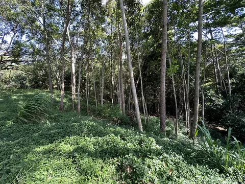 3191 Wawae Pl #B, Kalaheo, HI 96741