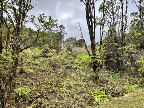 18-4161 Haumalu St, Mountain View, HI 96771