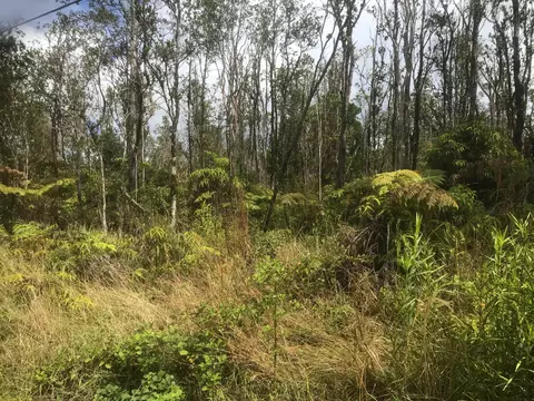 Kaleponi Dr, Volcano, HI 96785