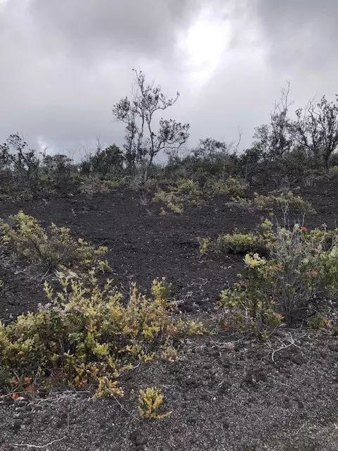 Reef Cir Mauka, Ocean View, HI 96737