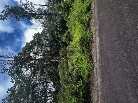 Sandalwood Ct, Kurtistown, HI 96760