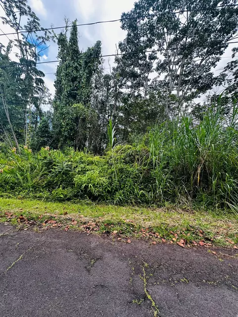 Aloha Dr, Kurtistown, HI 96760