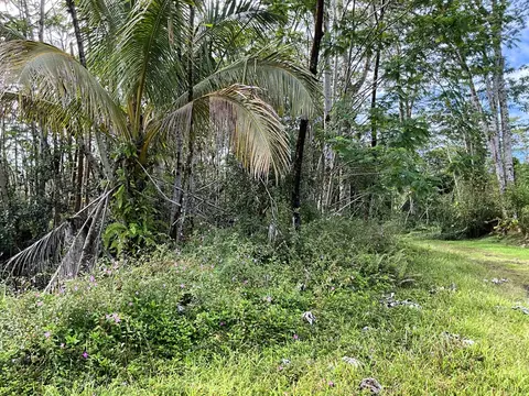 Mauna Kea Rd, Pahoa, HI 96778