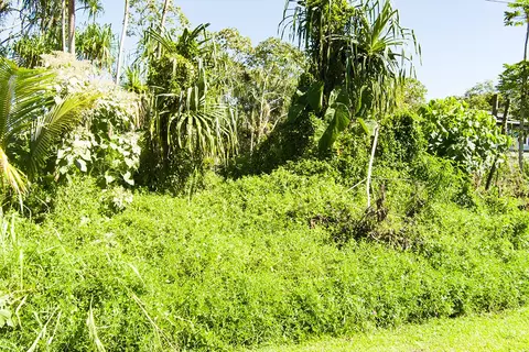 Haukeuke St, Pahoa, HI 96778