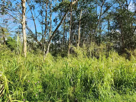 Paradise Rd, Pahoa, HI 96778