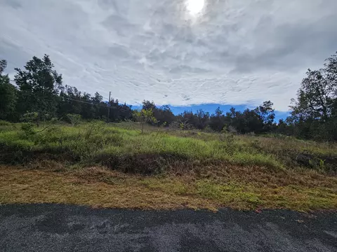 Tree Fern Ln, Ocean View, HI 96737