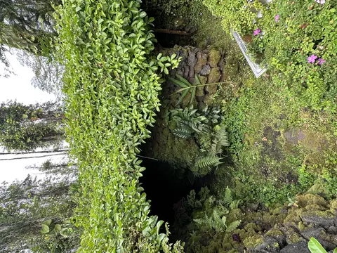 14-3528 Niihau Rd, Pahoa, HI 96778