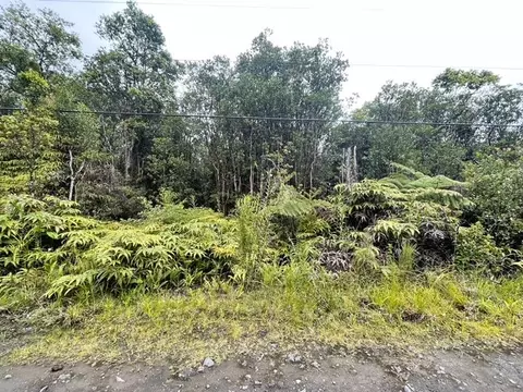 Road 3, Volcano, HI 96785