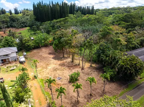 Moalepe Rd, Kapaa, HI 96746