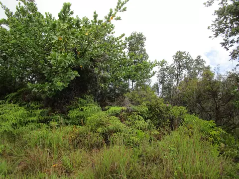 Loke Rd, Keaau, HI 96749