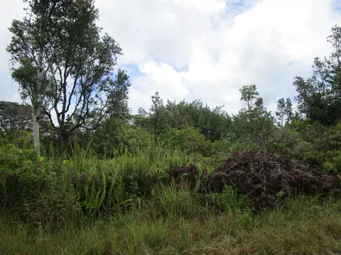 Loke Rd, Keaau, HI 96749
