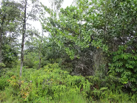 Loke Rd, Keaau, HI 96749