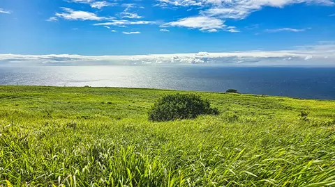 Undisclosed, Naalehu, HI 96772