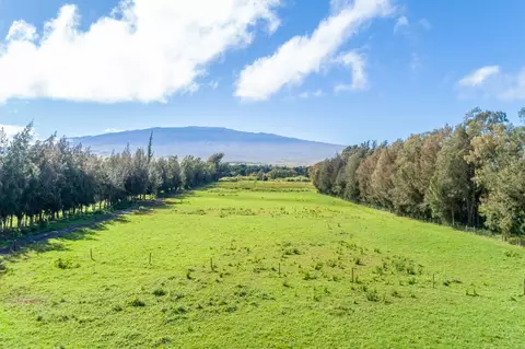 Undisclosed, Kamuela, HI 96743