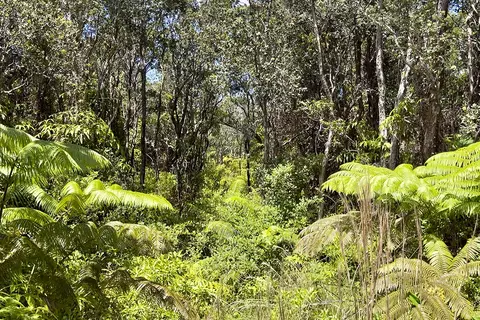 Nahelenani St, Volcano, HI 96785