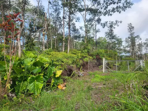 Nanawale Farms Rd, Pahoa, HI 96778