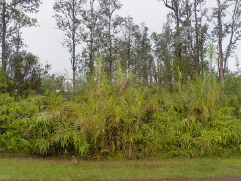 16-2048 Orchid Dr, Pahoa, HI 96778