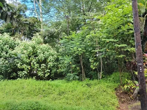 15-2701 Maiko St, Pahoa, HI 96778