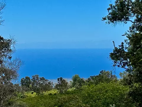 76-1510 Waiono Ranch Rd, Holualoa, HI 96725