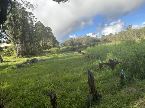 18-4090 Glenwood Rd, Volcano, HI 96785
