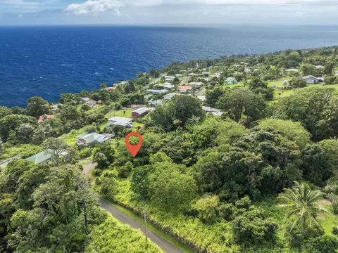 Puualaea Homestead Rd, Laupahoehoe, HI 96764