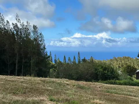Kamalei Pl, Hawi, HI 96719