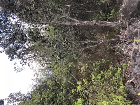 Paradise Pkwy, Ocean View, HI 96737