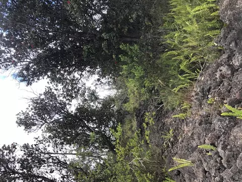 Paradise Pkwy, Ocean View, HI 96737