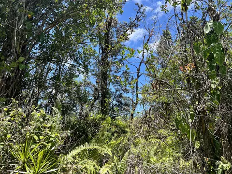 Road 3, Mountain View, HI 96760