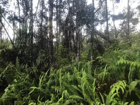 Pahoa Rd, Pahoa, HI 96778