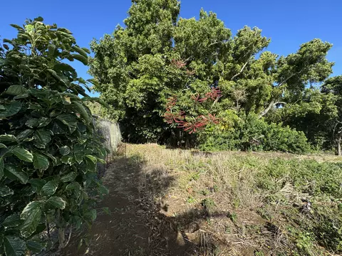 55-470 Keawe Iki Pl, Hawi, HI 96719