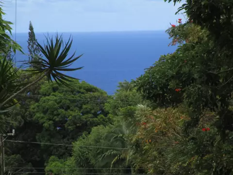 Puualaea Homestead Rd, Laupahoehoe, HI 96764